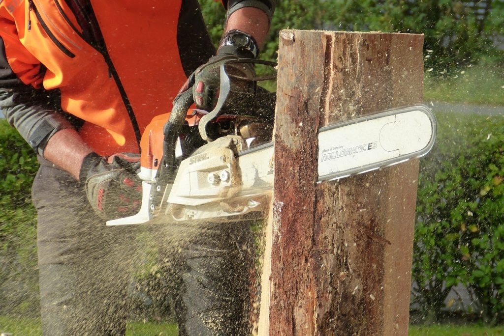 Chainsaws Hire Hire a Chainsaw Online Hireseeking Blog