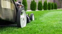 Best Lawn Mower Hire Online